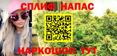 стаф Лесосибирск